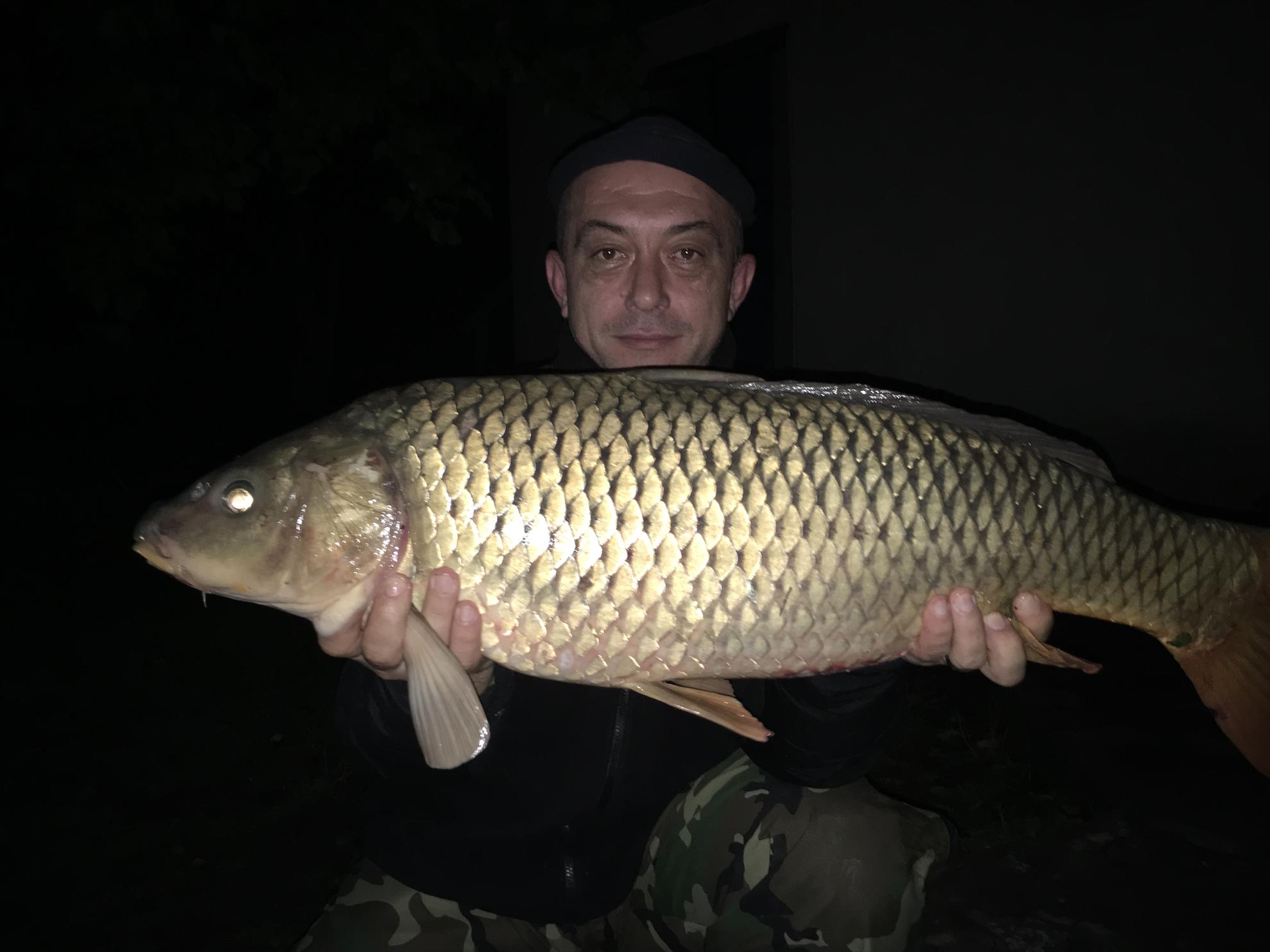 Fear of fish - Chilia